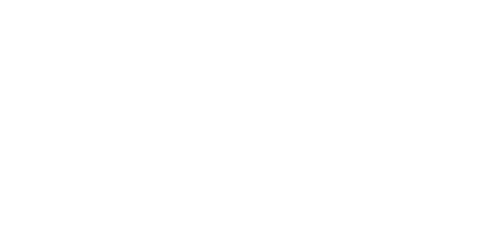 Nidec SV Probe