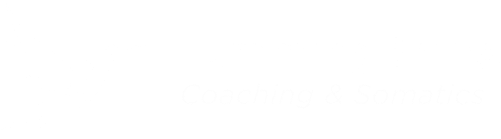 HummingBeing logo, dark grounds